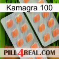 Kamagra 100 27